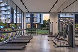 Gymnasium